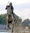uth Park Racetrack, Oceanport NJ