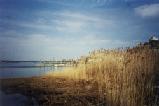 Rumson Waterfront